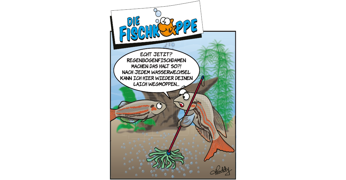 Die Fischköppe aus aquaristik 1/2026