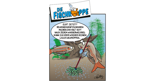 Die Fischköppe aus aquaristik 1/2026