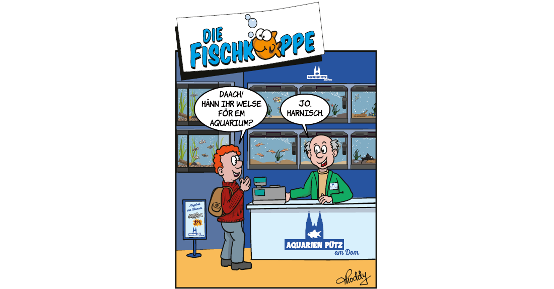 Die Fischköppe aus aquaristik 3/2026