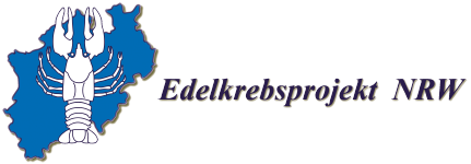 Neues vom Edelkrebsprojekt