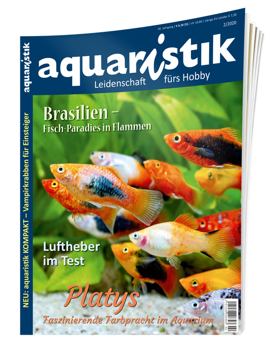 aquaristik Ausgabe 2/2020