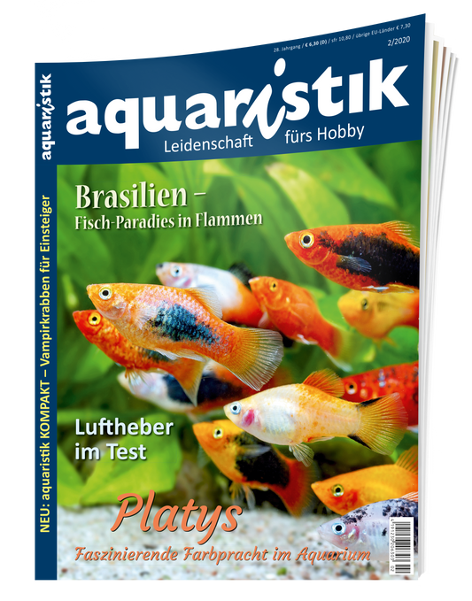 2020/2 aquaristik