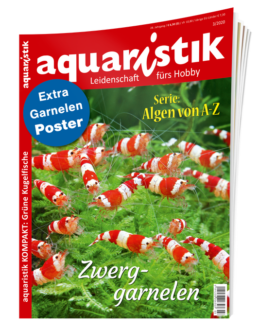 2020/3 aquaristik