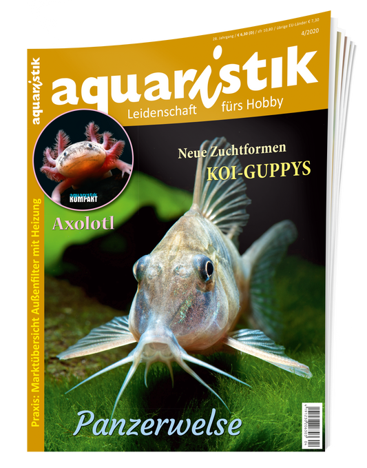2020/4 aquaristik