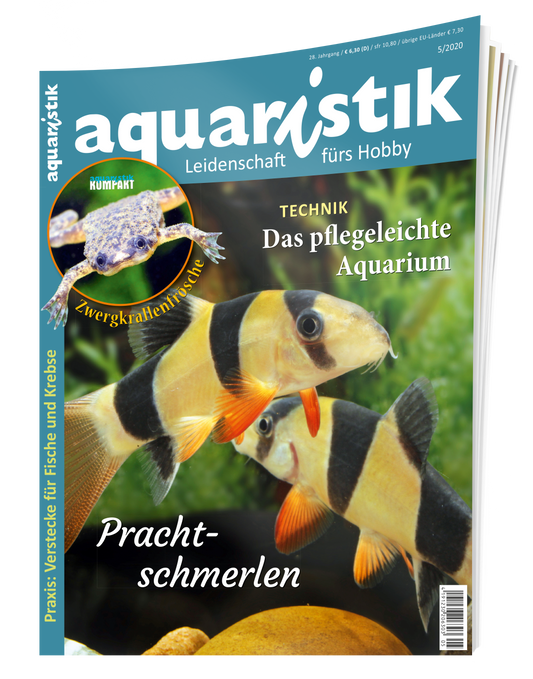 aquaristik 5/2020