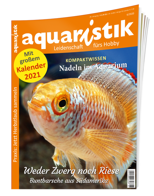 aquaristik 6/2020