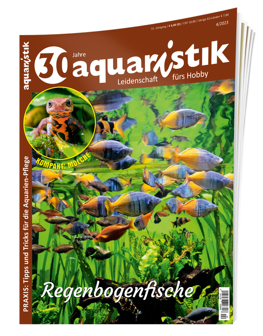 2023/4 aquaristik