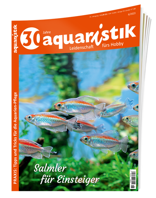 2023/6 aquaristik