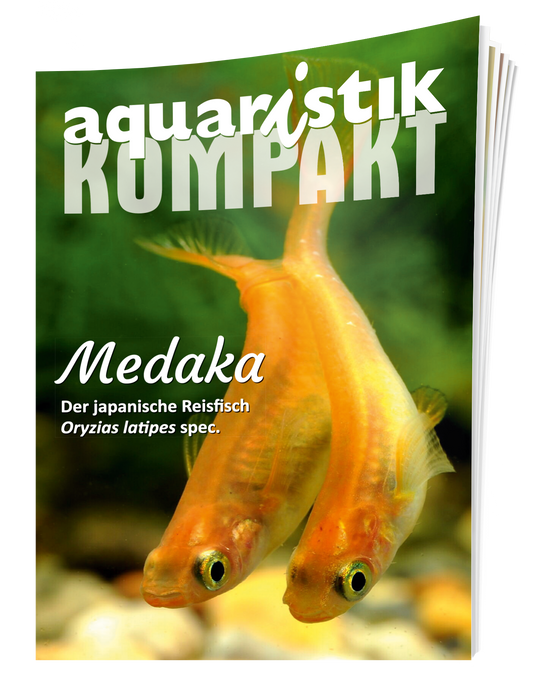 aquaristik Kompakt - Medaka