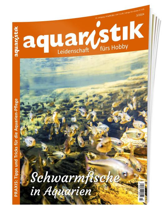 aquaristik 3/2024