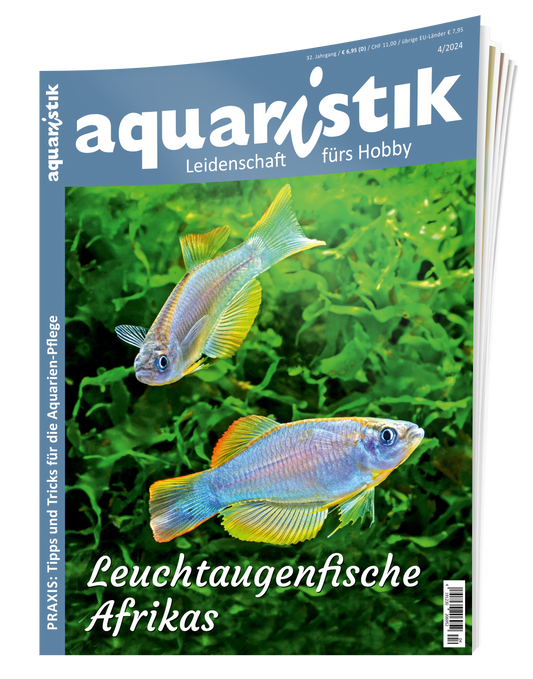 2024/4 aquaristik