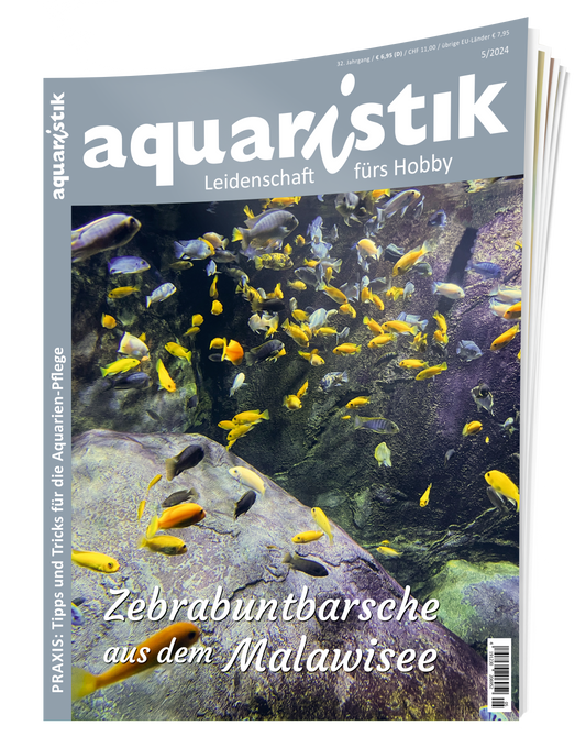 2024/5 aquaristik