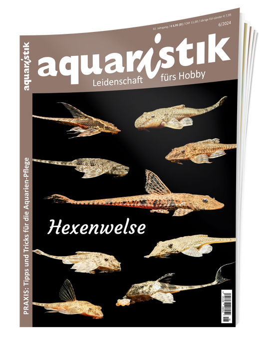 2024/6 aquaristik