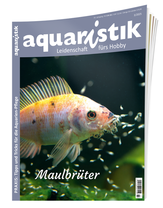 2025/3 aquaristik