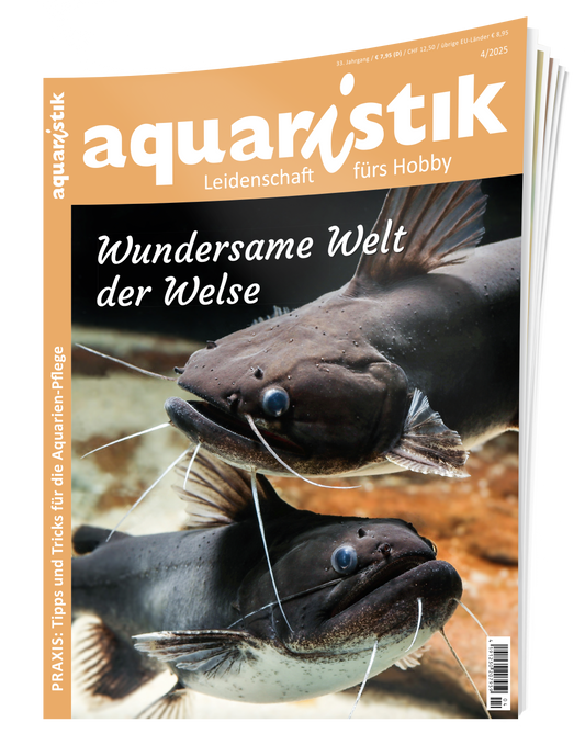 2025/4 aquaristik