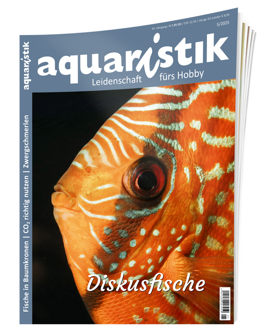 2025/5 aquaristik