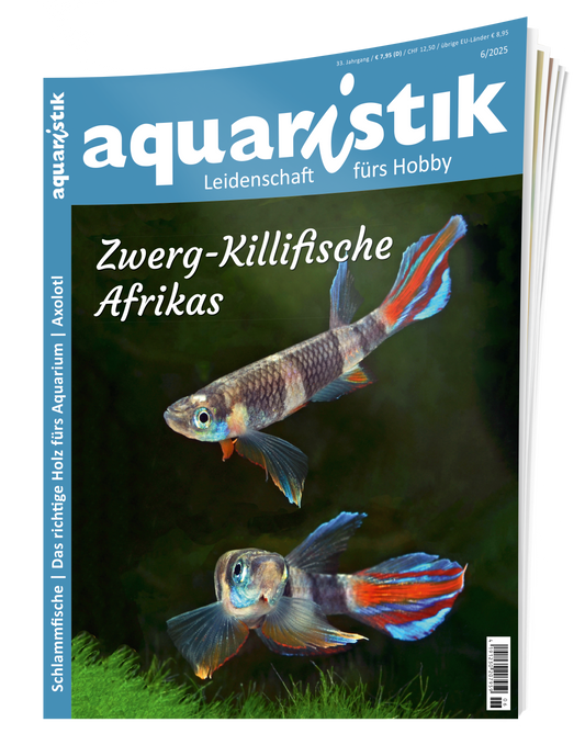 2025/6 aquaristik