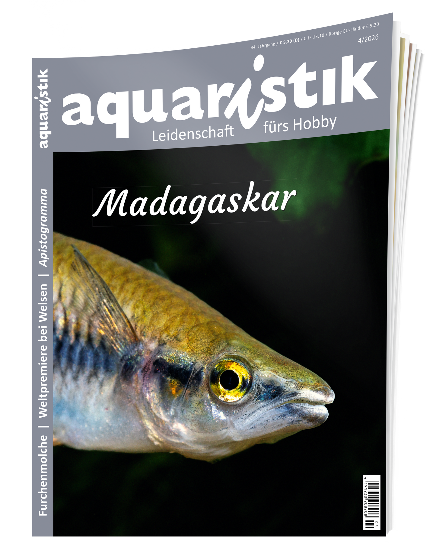 2026/4 aquaristik