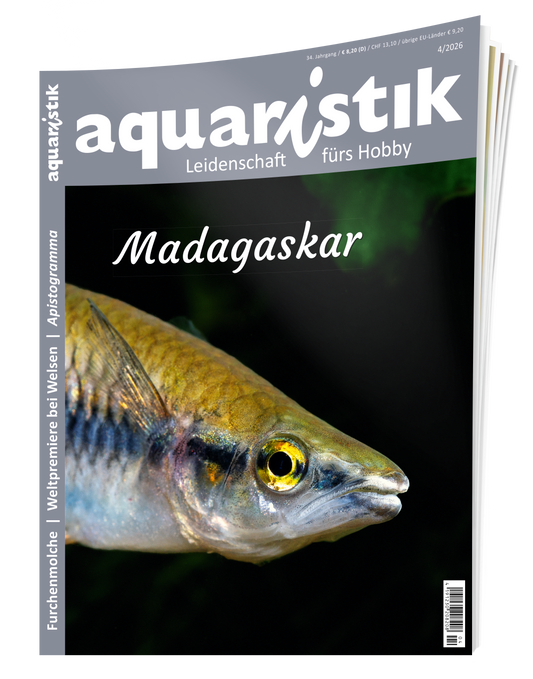 2026/4 aquaristik