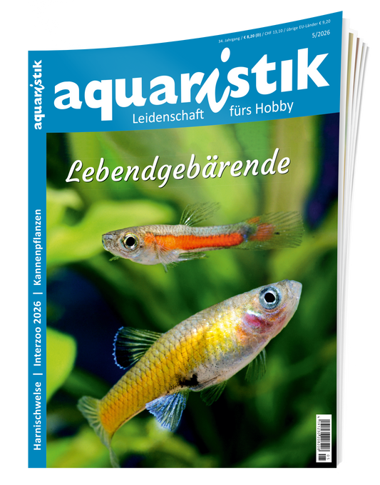 2026/5 aquaristik