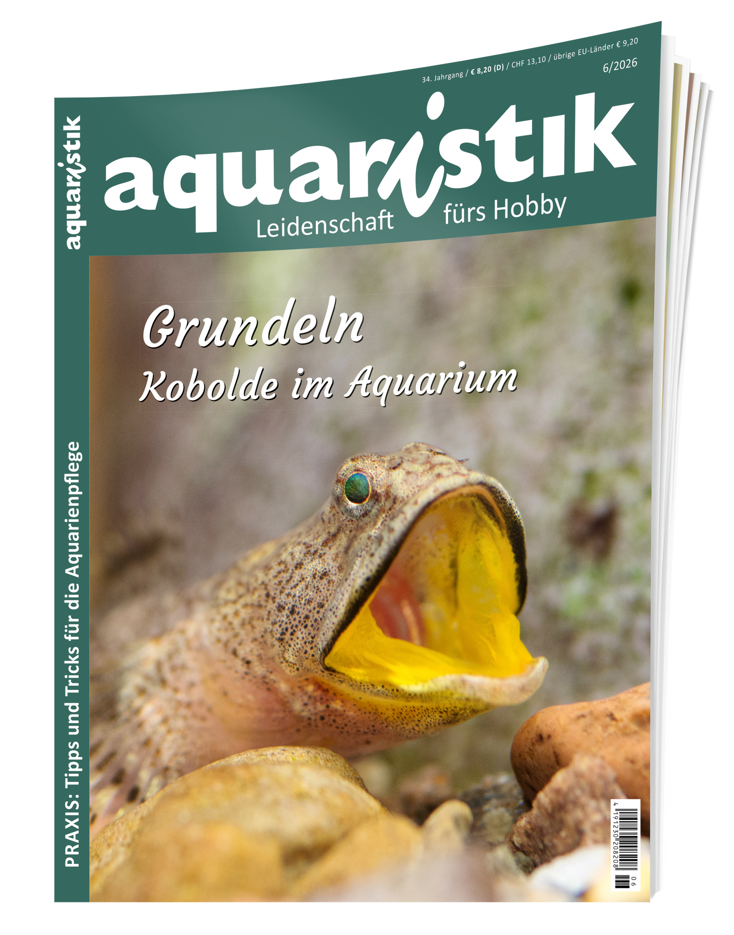 2026/6 aquaristik