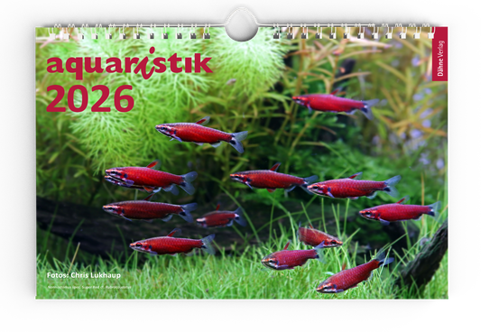aquaristik Kalender 2026
