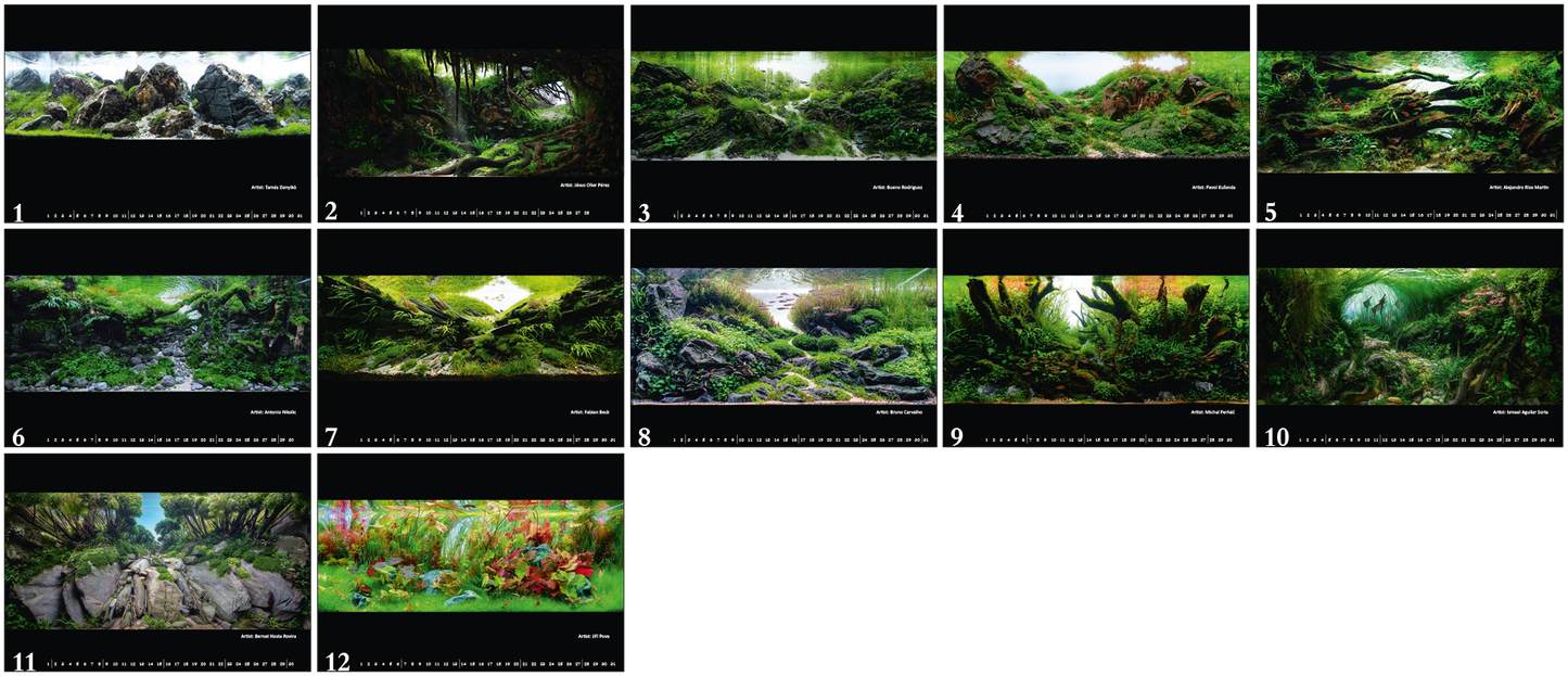 aquariumdesign 2026