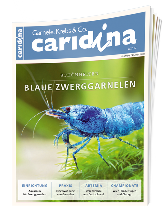 caridina Ausgabe 1/2017