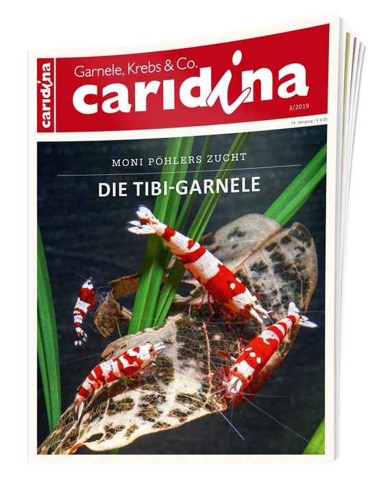 caridina Ausgabe 3/2019