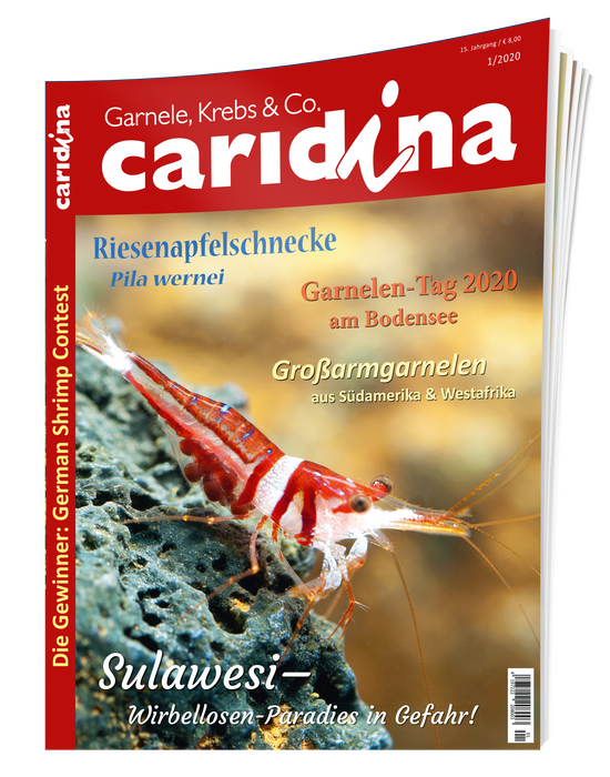 caridina Ausgabe 1/2020