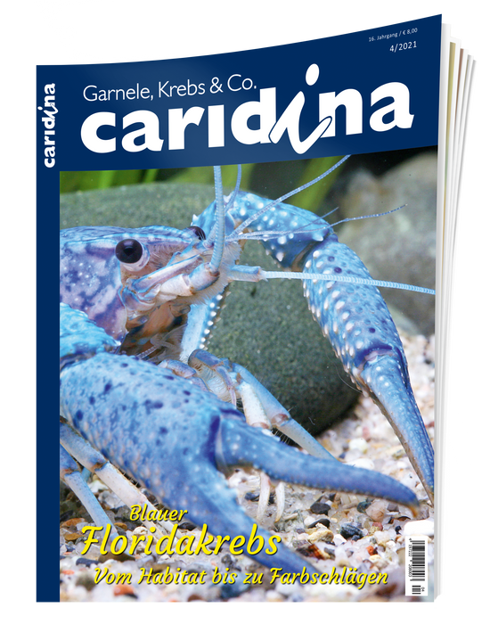 caridina Ausgabe 4/2021