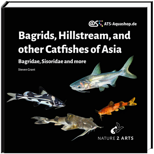 Bagrids, Hillstream, and other Catfishes of Asia