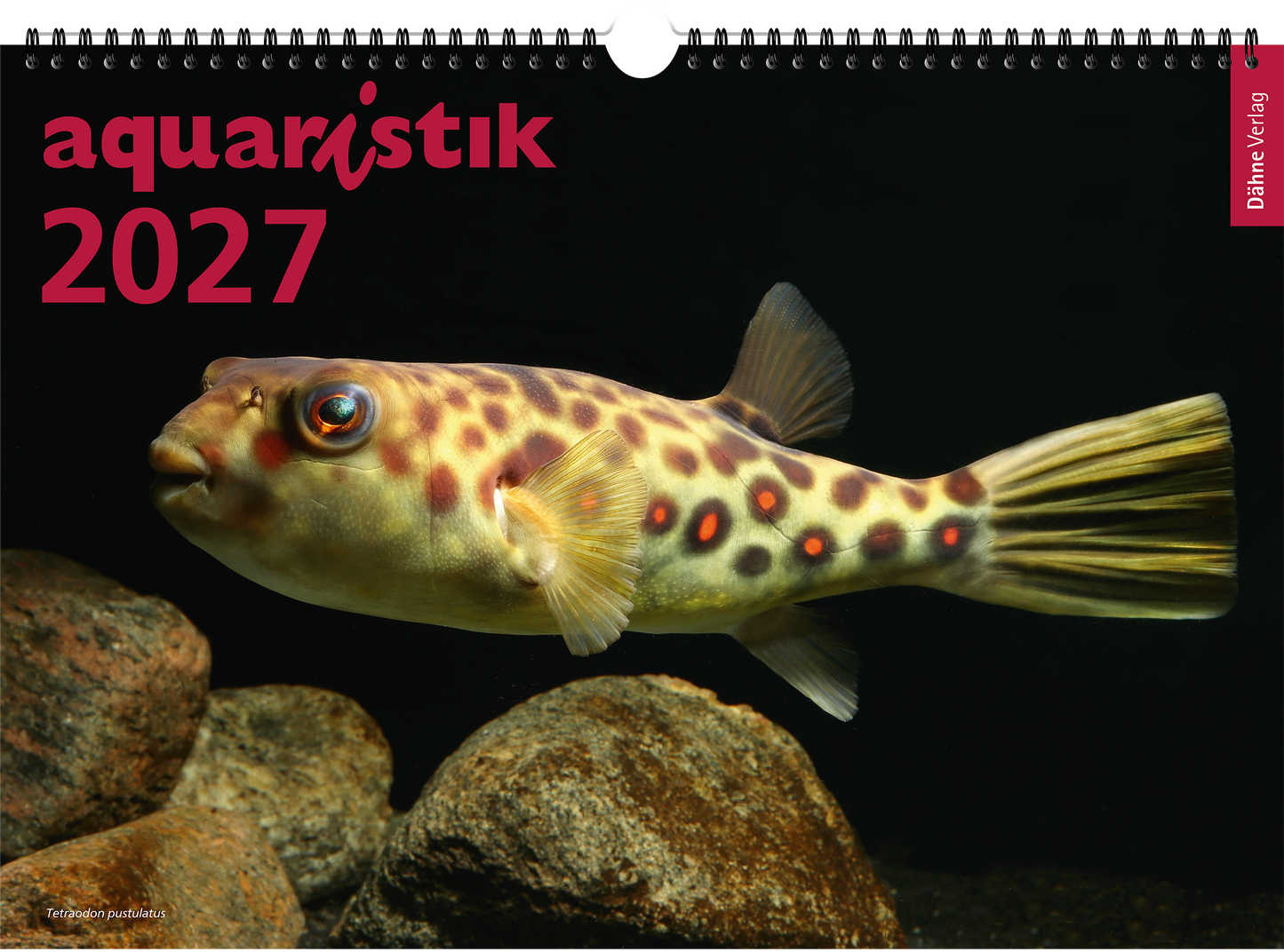 aquaristik Kalender 2027 Stammkundenpreis