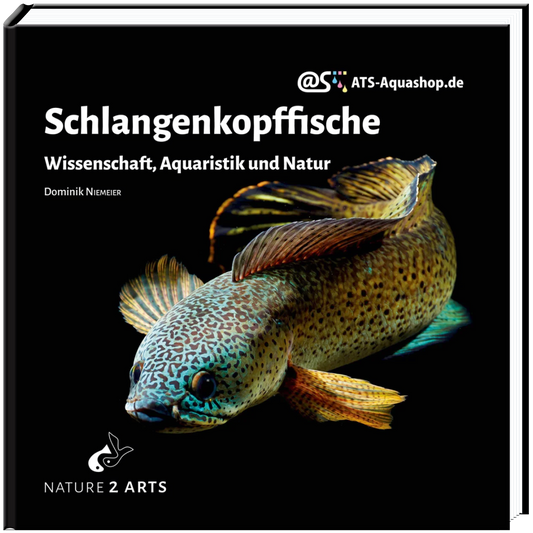 Schlangenkopffische