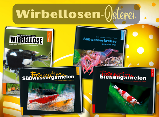 Wirbellosen-Osterei