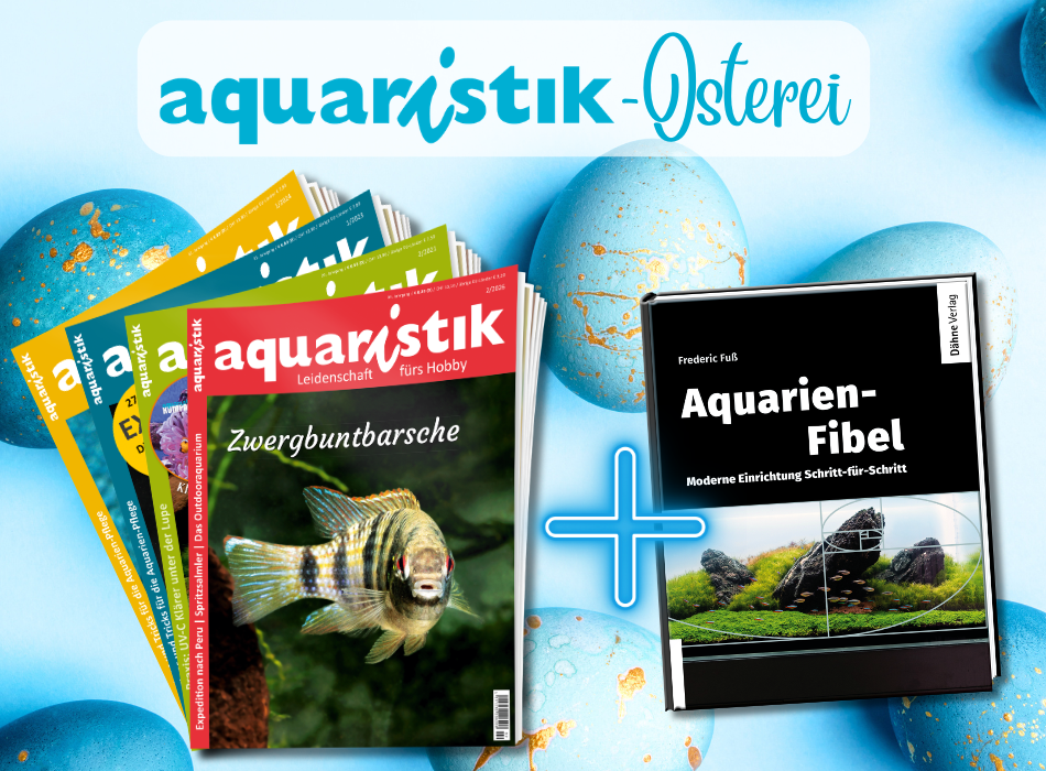 Das aquaristik-Osterei