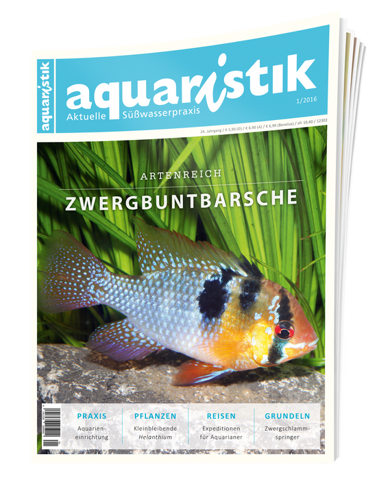 aquaristik Ausgabe 1/2016