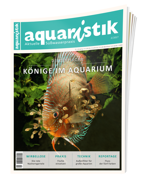 aquaristik Ausgabe 2/2017