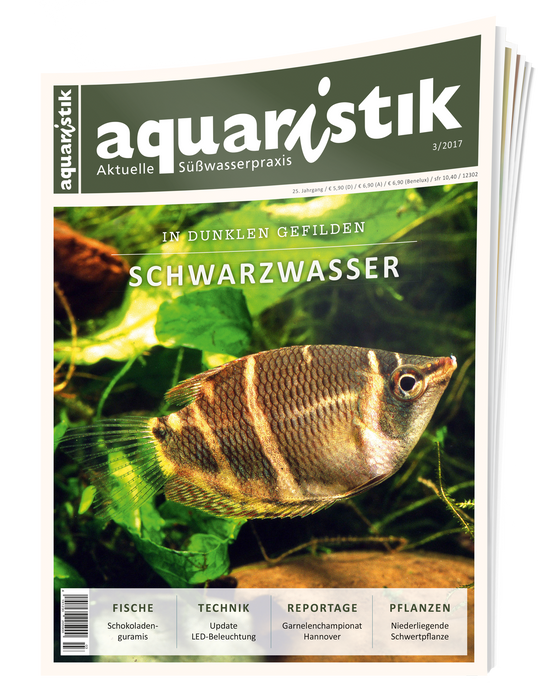 Aquaristik Ausgabe 3/2017