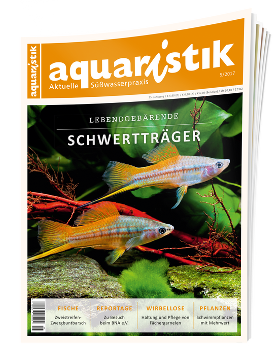 aquaristik Ausgabe 5/2017