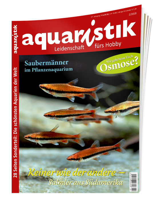 aquaristik Ausgabe 2/2019