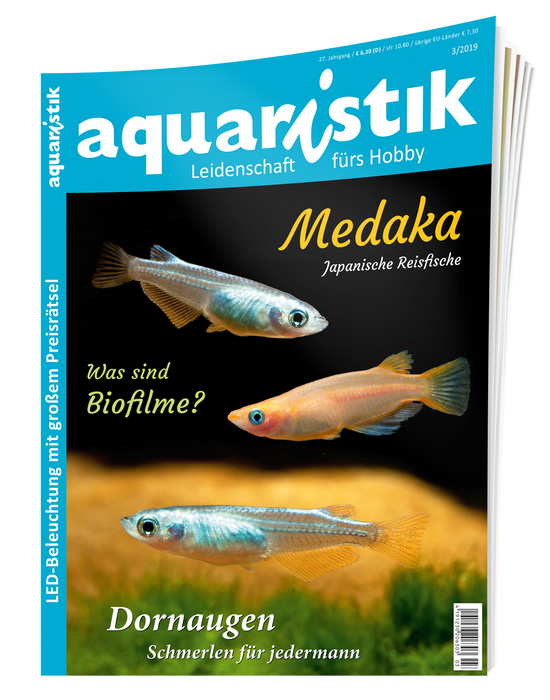 aquaristik Ausgabe 3/2019