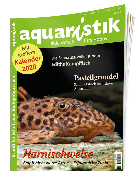 aquaristik Ausgabe 6/2019