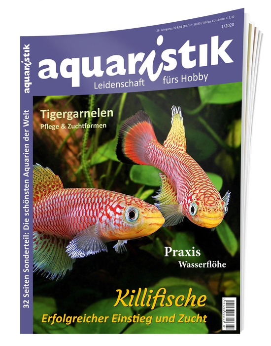 aquaristik Ausgabe 1/2020