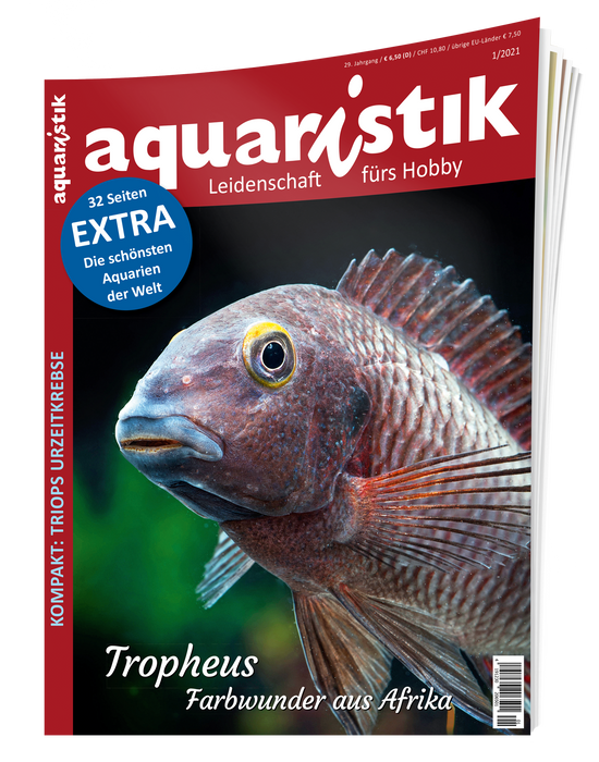 aquaristik Ausgabe 1/2021