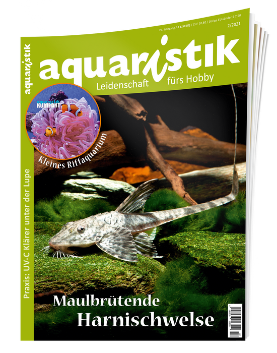aquaristik Ausgabe 2/2021