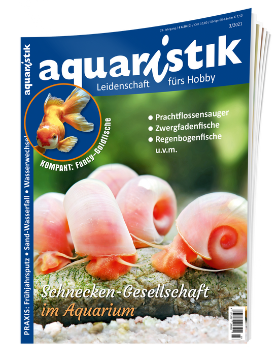 aquaristik Ausgabe 3/2021