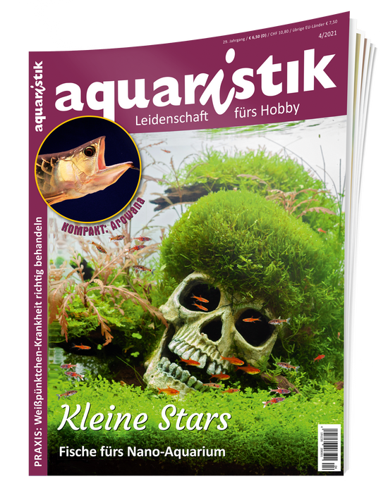 aquaristik Ausgabe 4/2021