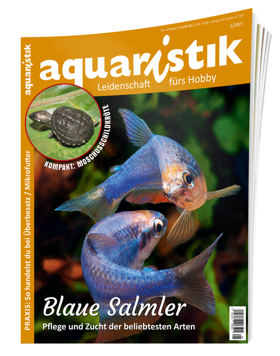 aquaristik Ausgabe 5/2021