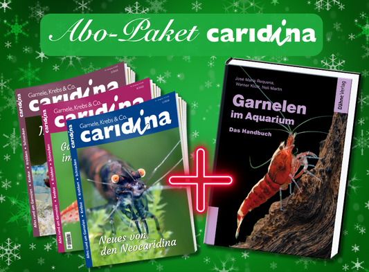 caridina Weihnachts-Special